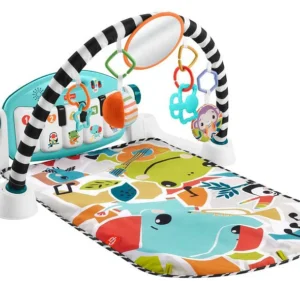 費雪-4向雙語鋼琴健身器