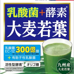ASAHI 朝日 乳酸菌+酵素 大麥若葉青汁