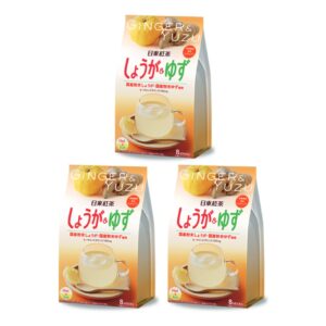 日東紅茶 生薑柚子奶茶 8條袋裝 3袋裝